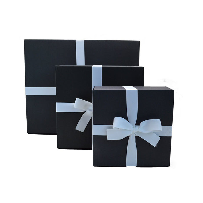 AFPOS Premium Brush Kit - Silver