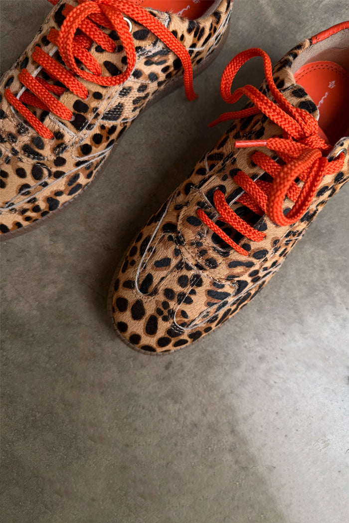 Leopard Pony Trainers with a leopard print leather upper and contrast orange laces on a grey stone floor.