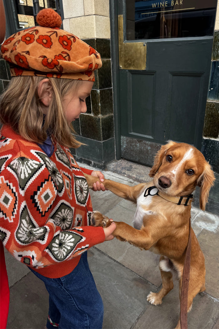 Rust orange NFD Kids Diamond Bomber with green and red diamond patterns on a child holding a dog’s paws.