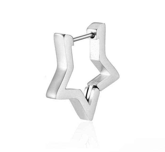 Stainless steel earrings